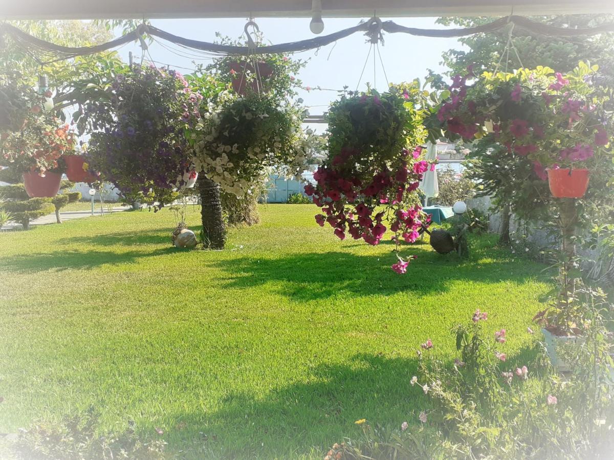 Top Floor On Villa, 3' From Center, By The Sea! Host Is Efi Kwsta Preveza Exterior photo